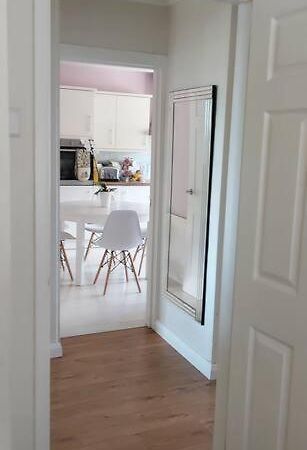 Bellevue Bungalow - Comfortable Home With Amazing Views Belfast Extérieur photo