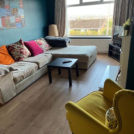 Bellevue Bungalow - Comfortable Home With Amazing Views Belfast Extérieur photo