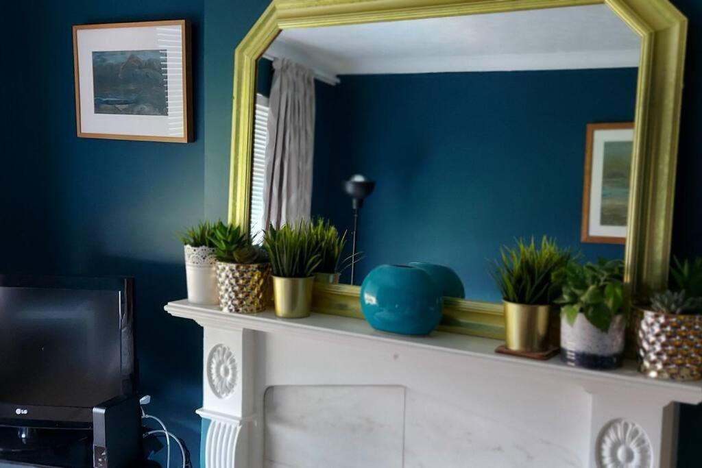Bellevue Bungalow - Comfortable Home With Amazing Views Belfast Extérieur photo