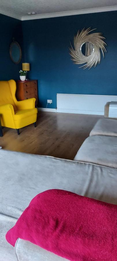 Bellevue Bungalow - Comfortable Home With Amazing Views Belfast Extérieur photo
