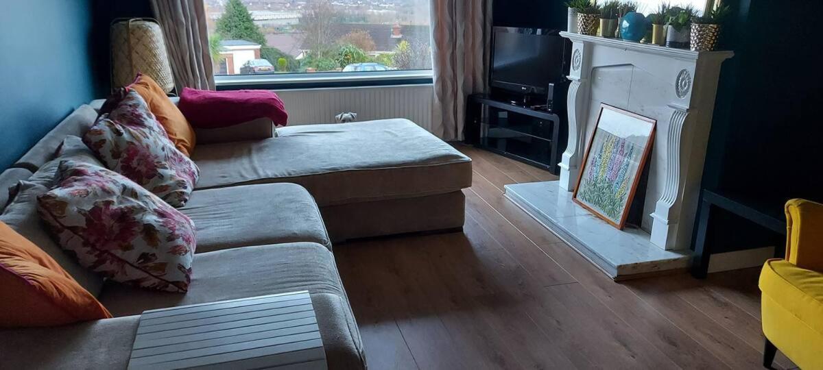Bellevue Bungalow - Comfortable Home With Amazing Views Belfast Extérieur photo