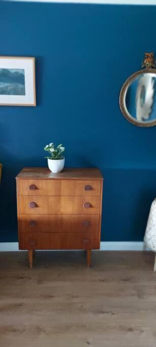 Bellevue Bungalow - Comfortable Home With Amazing Views Belfast Extérieur photo