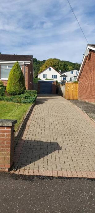 Bellevue Bungalow - Comfortable Home With Amazing Views Belfast Extérieur photo