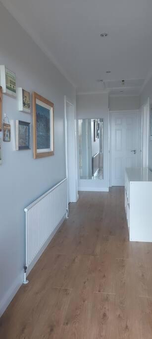 Bellevue Bungalow - Comfortable Home With Amazing Views Belfast Extérieur photo