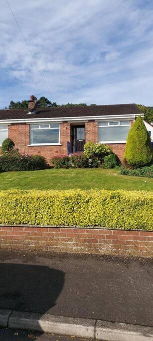 Bellevue Bungalow - Comfortable Home With Amazing Views Belfast Extérieur photo