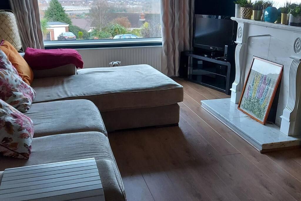 Bellevue Bungalow - Comfortable Home With Amazing Views Belfast Extérieur photo