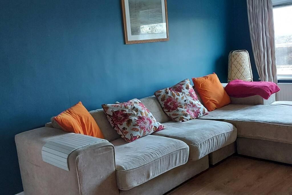 Bellevue Bungalow - Comfortable Home With Amazing Views Belfast Extérieur photo