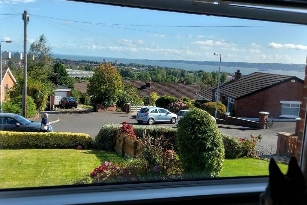 Bellevue Bungalow - Comfortable Home With Amazing Views Belfast Extérieur photo