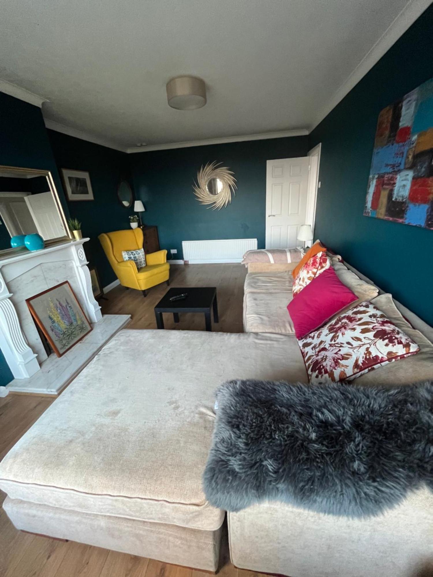Bellevue Bungalow - Comfortable Home With Amazing Views Belfast Extérieur photo