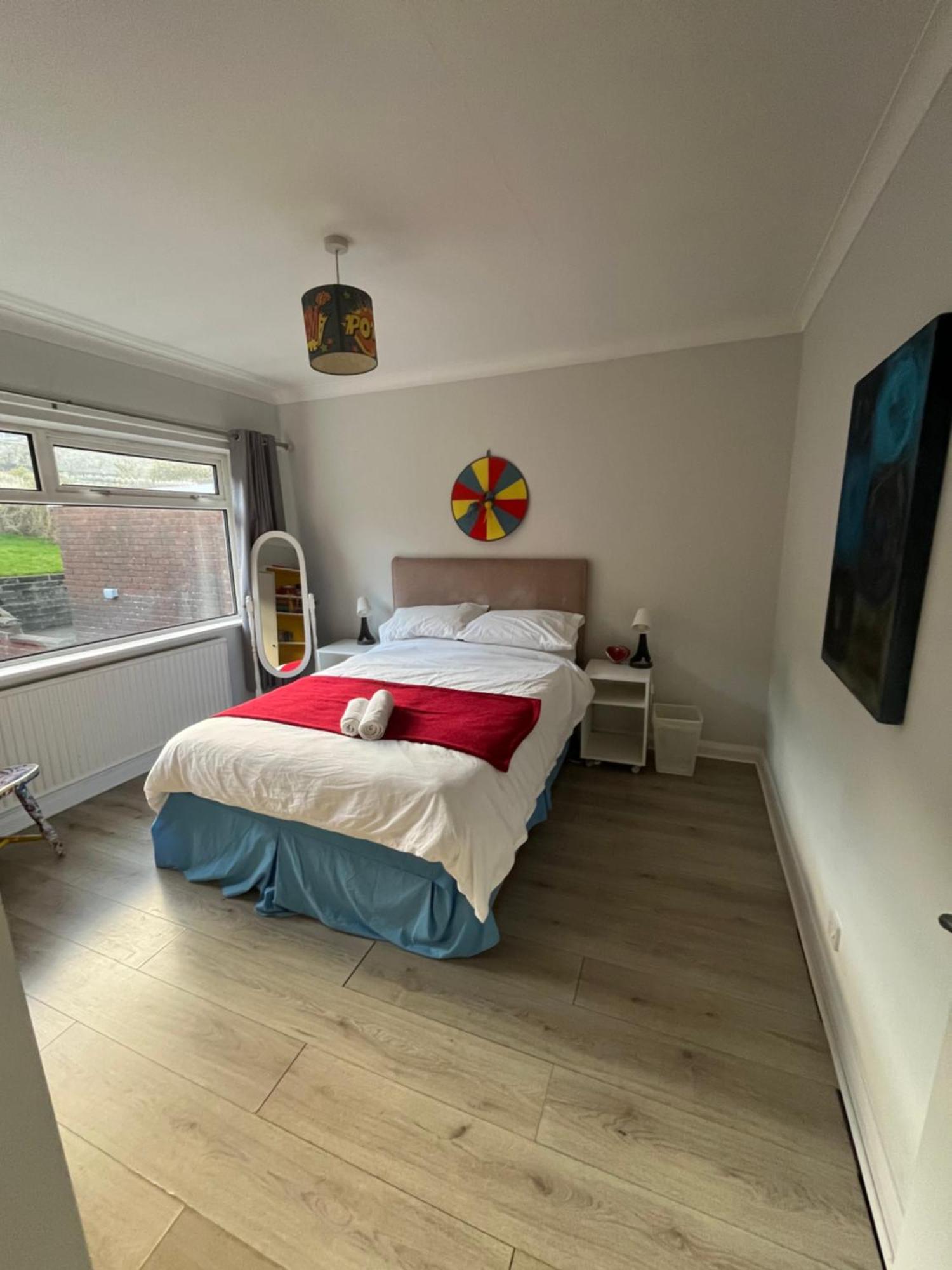 Bellevue Bungalow - Comfortable Home With Amazing Views Belfast Extérieur photo